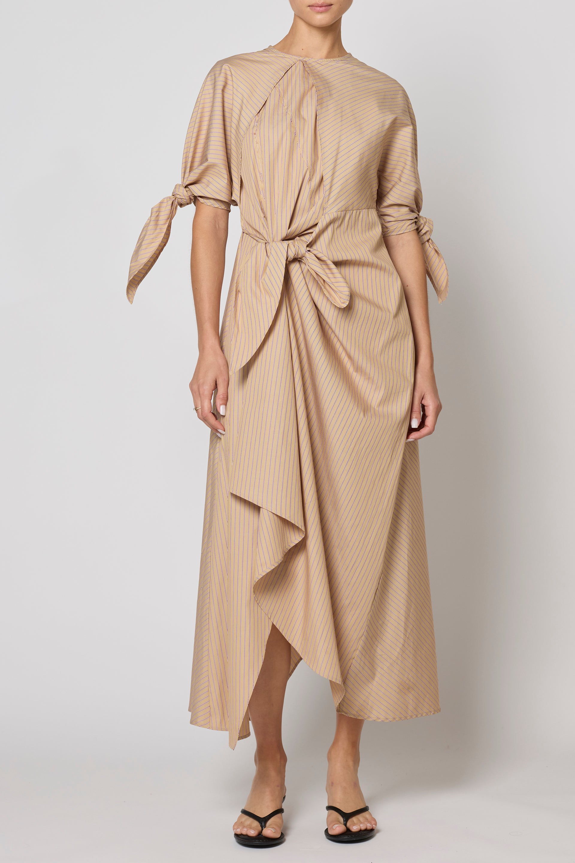 Topfer Dress in Pima Cotton Poplin