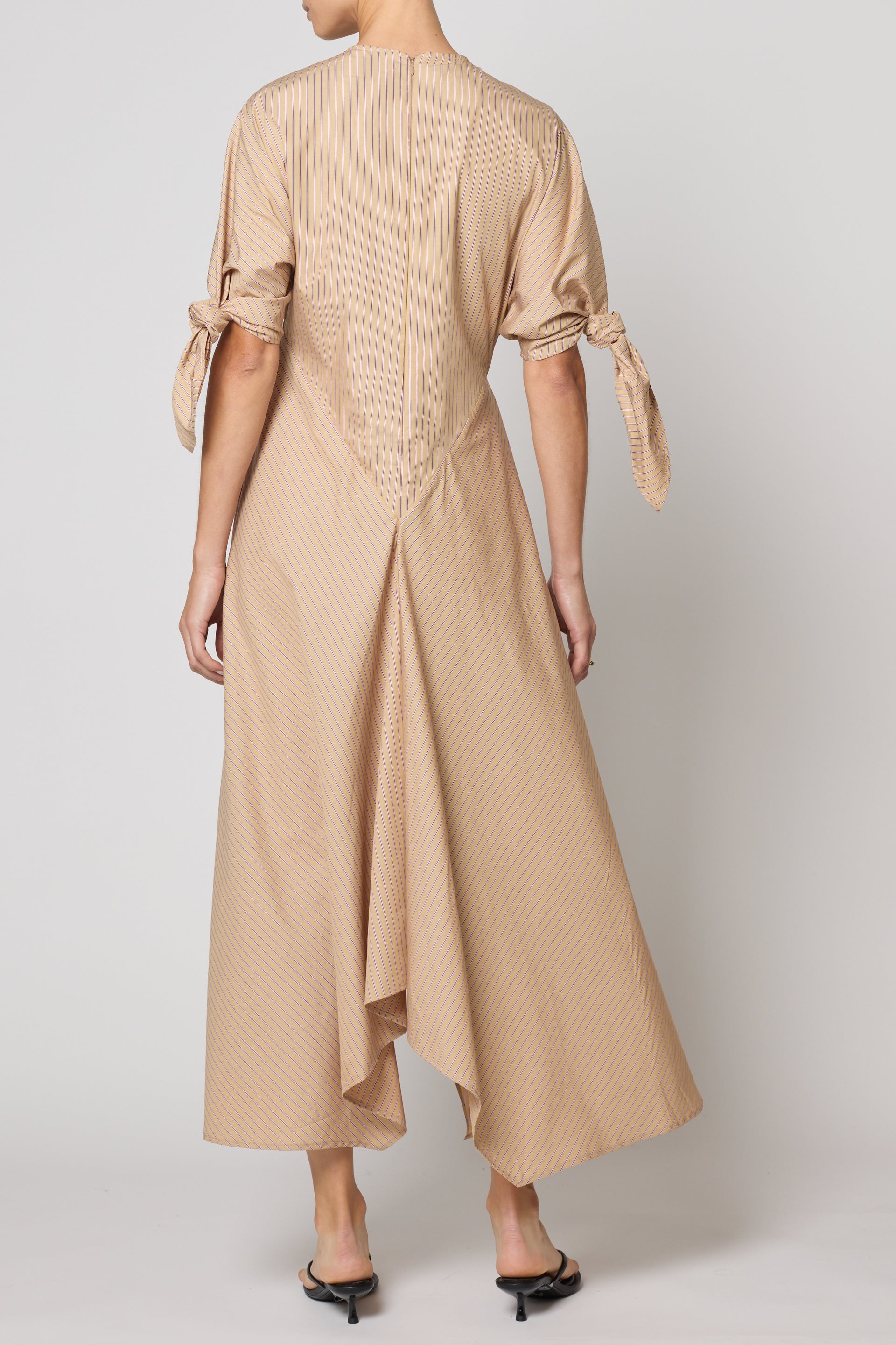Topfer Dress in Pima Cotton Poplin