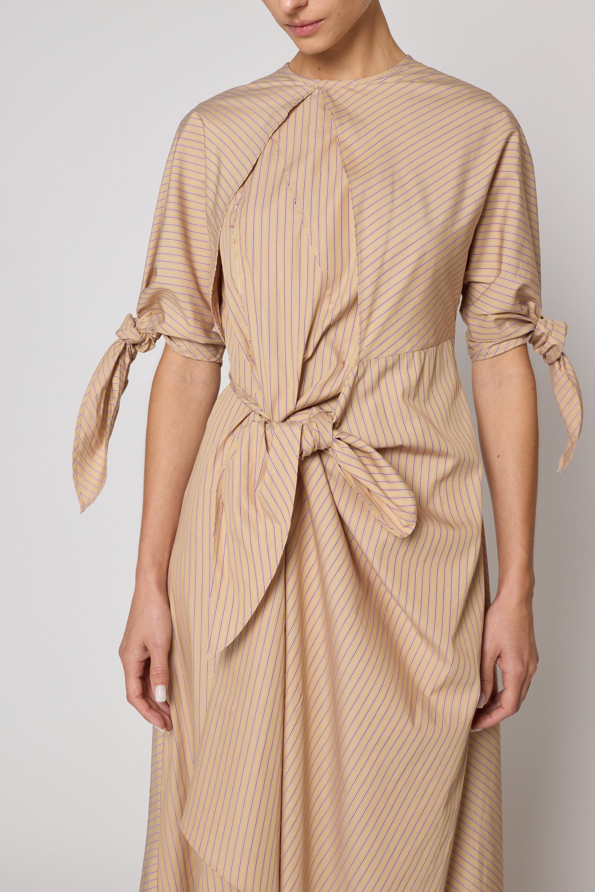 Topfer Dress in Pima Cotton Poplin