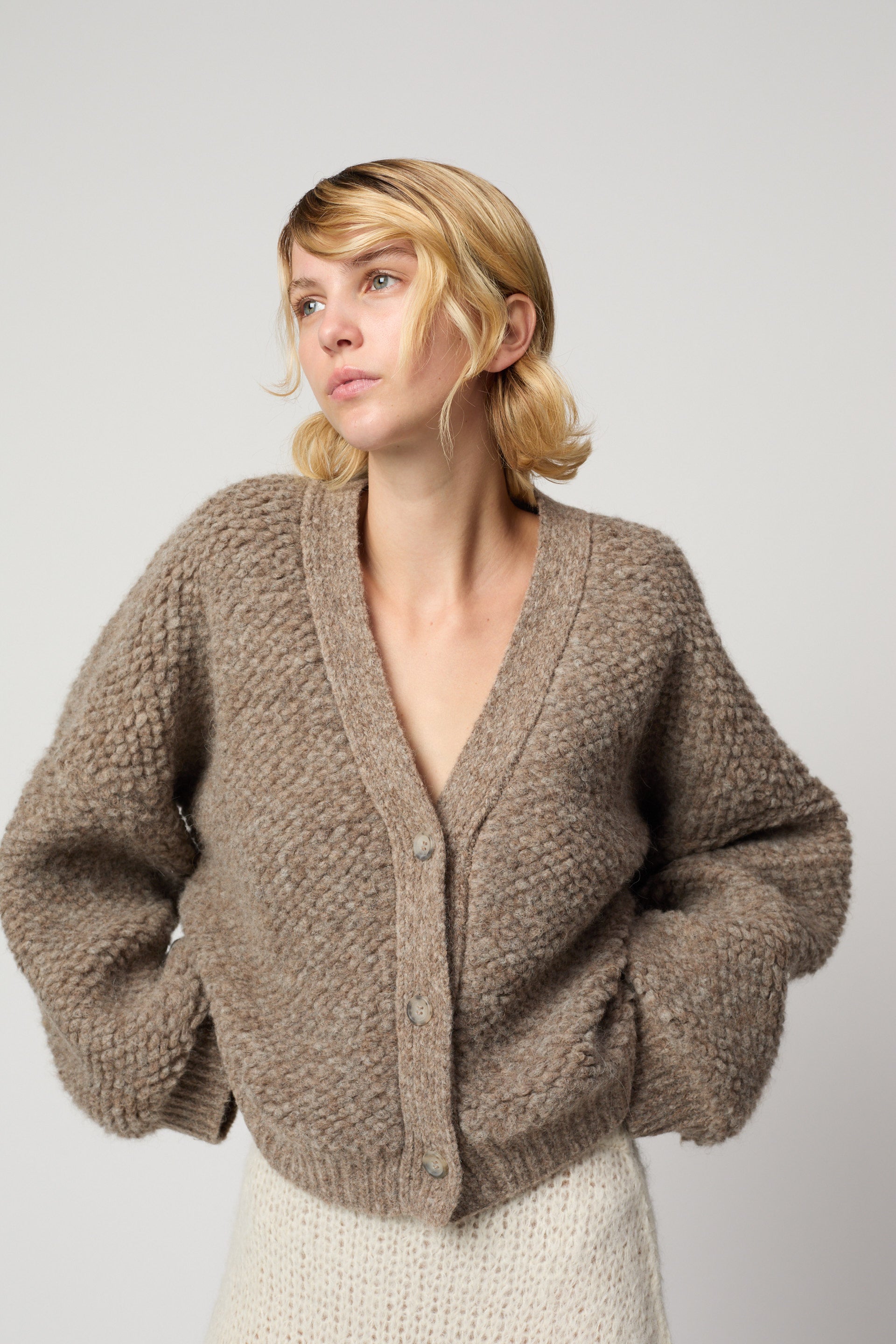 トリスタン カーディガン、フレンチテリー