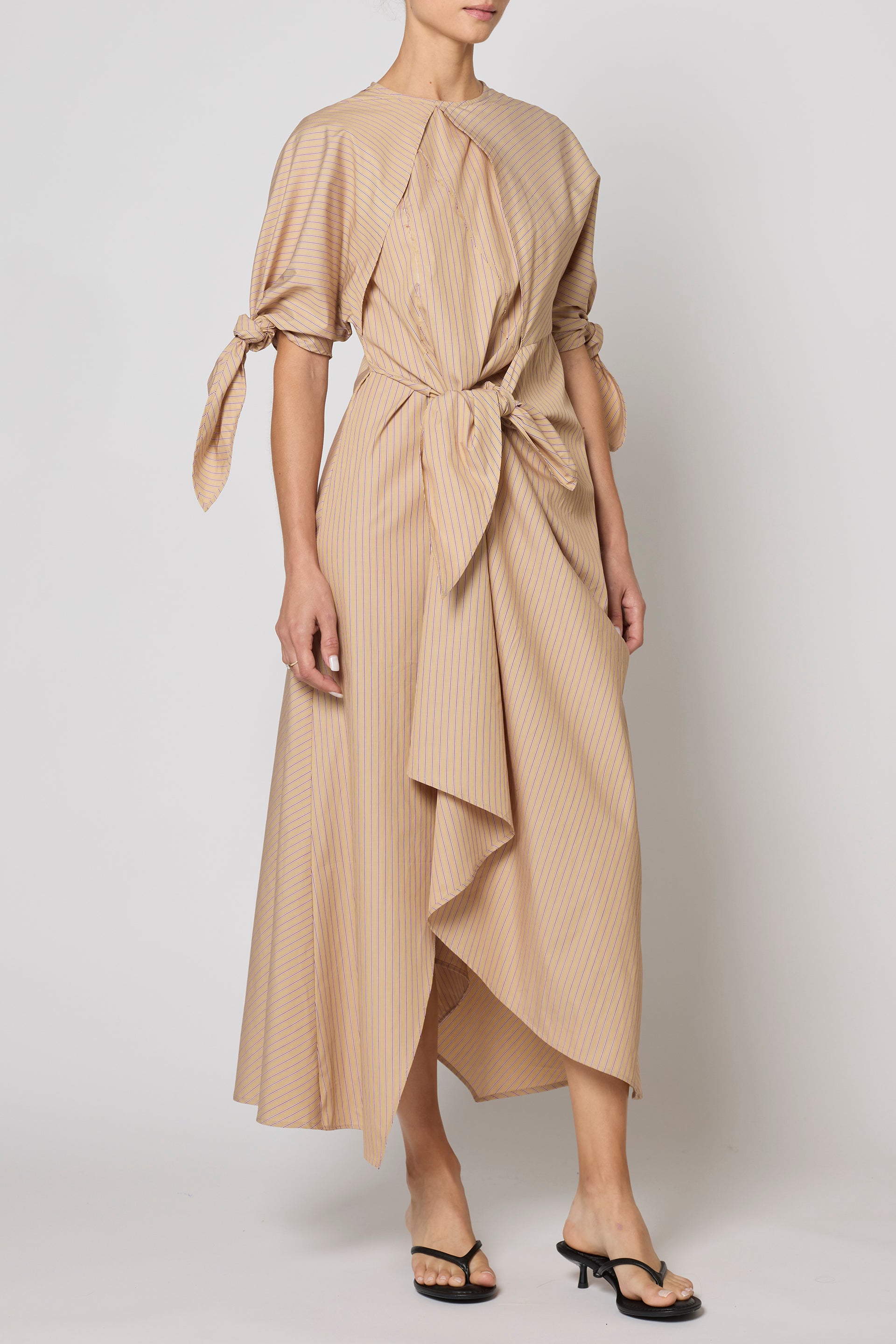 Topfer Dress in Pima Cotton Poplin