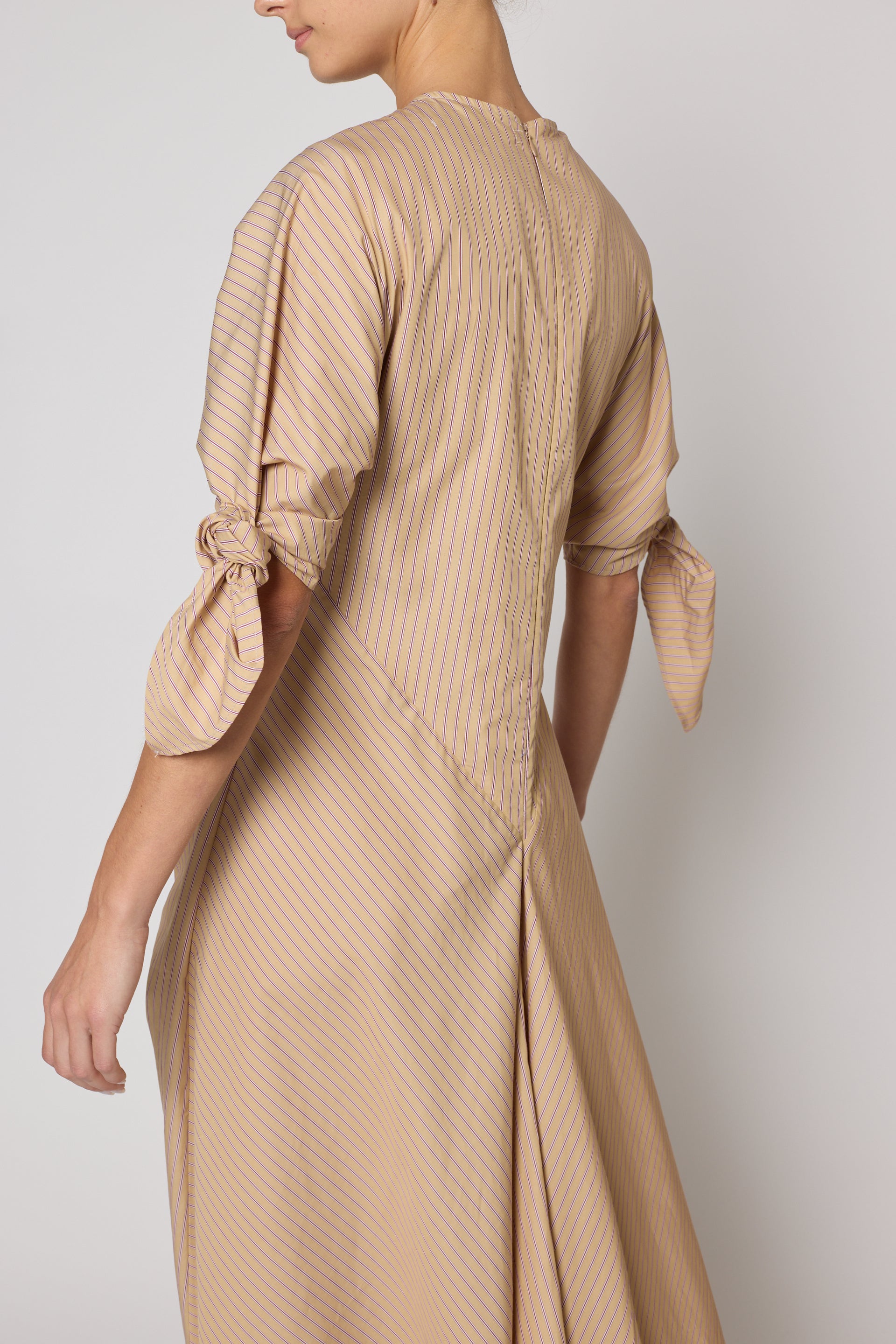 Topfer Dress in Pima Cotton Poplin