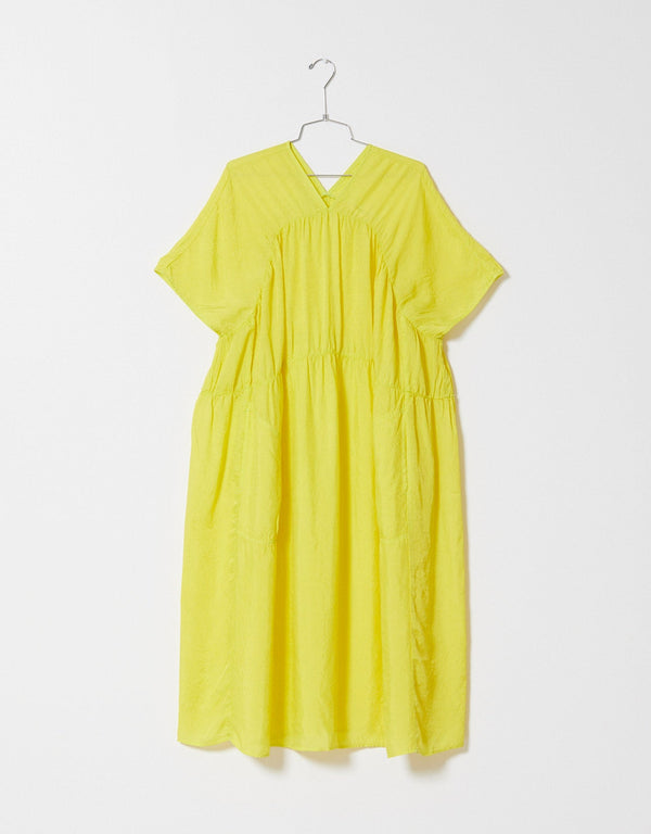 Archive Sale Lihue Dress in Crinkled Cupro