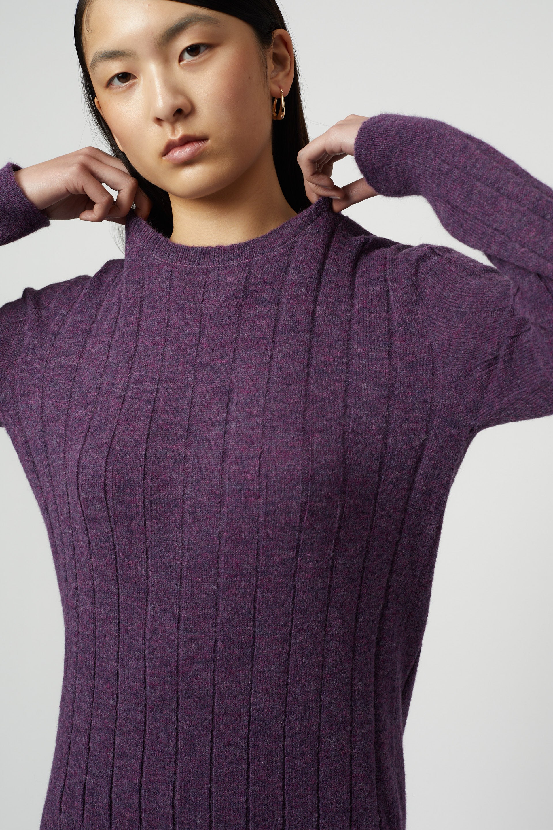 Rib Crewneck Top in Superfine Alpaca